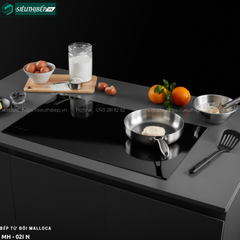 Bếp từ đôi Malloca MH - 02I N (Kính đen chấm bi chìm)