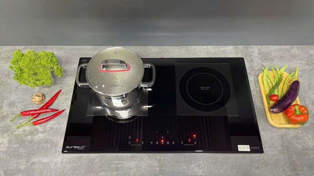 Bếp từ kết hợp điện Eurosun EU - TE259Pro