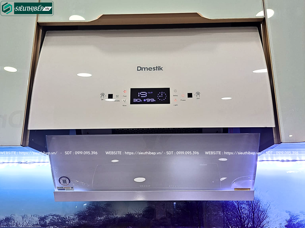 Máy hút mùi D'mestik TL 4670 DMK (Áp tường kính vát)