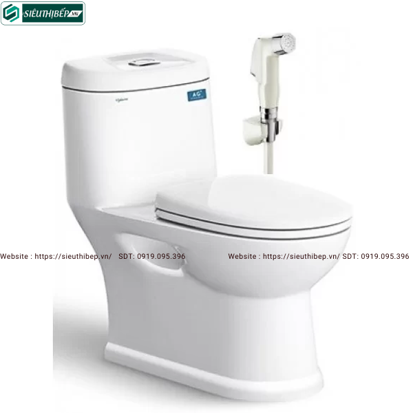 Bồn cầu 1 khối Viglacera C109 (Nắp Êm)
