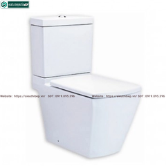 Bồn cầu 2 khối COTTO C17087 - Nắp Êm