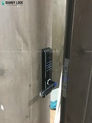 Khóa điện tử Giovani GSL - U311B APP (Black)