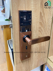 Khóa điện tử Giovani GSL - K591B (Black) / GSL - K591C (Copper)