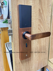 Khóa điện tử Giovani GSL - K591B (Black) / GSL - K591C (Copper)