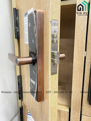 Khóa điện tử Giovani GSL - K591B (Black) / GSL - K591C (Copper)