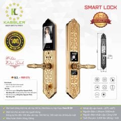 Khóa đại sảnh điện tử Kassler KL 989FS