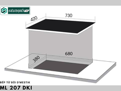 Bếp từ đôi D'mestik ML 207 DKI