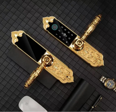 khóa điện tử Hubert đại sảnh HB DS79 Gold Mini