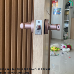 Khóa vân tay Demax SL105 / SL107 (Dùng cho cửa phòng - Hợp kim kẽm cao cấp)