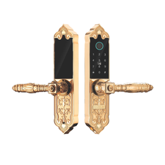 Khóa đại sảnh điện tử KL - 919