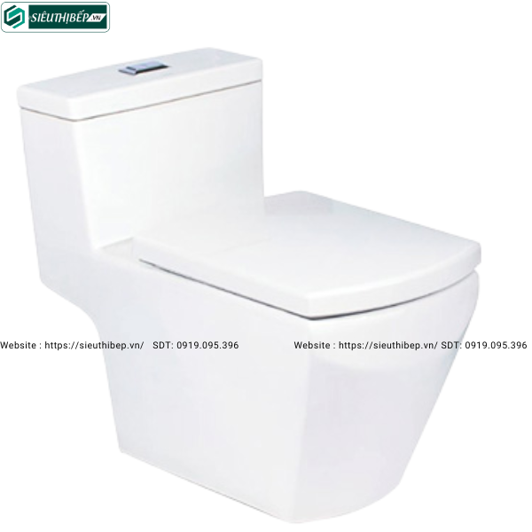 Bồn cầu 1 khối COTTO C10717 - Nắp Êm