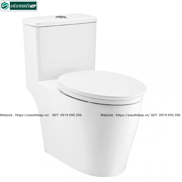 Bồn cầu 1 khối COTTO C110507 - Nắp Êm