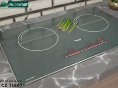 Bếp từ đôi Canzy CZ TL 867T (Inverter tiết kiệm điện - Made in Thailand)