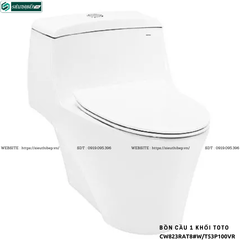 Bồn cầu 1 khối TOTO CW823RAT8#W/T53P100VR (Nắp Đóng Êm TC600VS)
