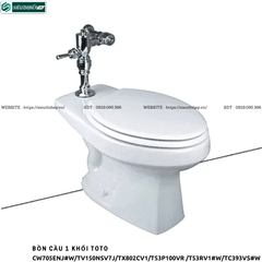 Bồn cầu 1 khối TOTO CW705ENJ#W/TV150NSV7J/TX802CV1/T53P100VR /T53RV1#W/TC393VS#W  (Nắp Đóng Êm)