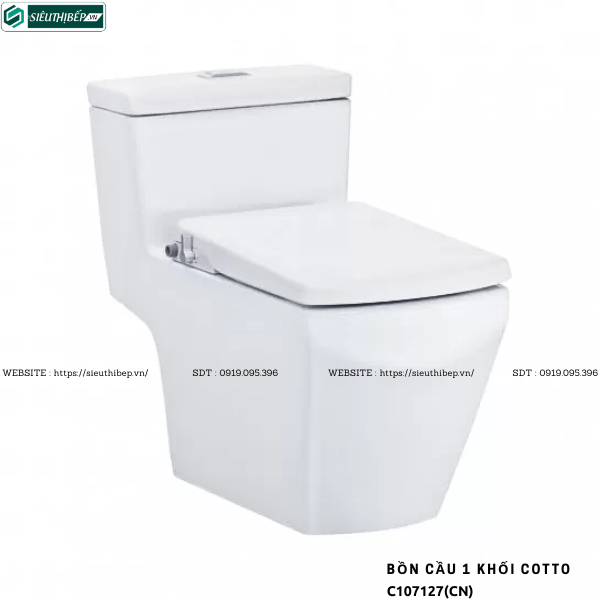 Bồn cầu 1 khối COTTO C107127(CN) - Nắp Rửa Cơ