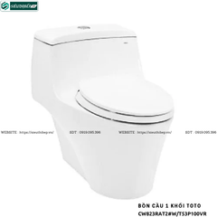 Bồn cầu 1 khối TOTO CW823RAT2#W/T53P100VR (Nắp Đóng Êm TC393VS)