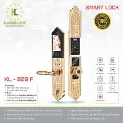Khóa đại sảnh điện tử Kassler KL - 929F