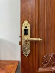 Khóa đại sảnh điện tử Kassler KL - 919Pro Gold / KL - 919Pro Copper / KL - 919Pro Green