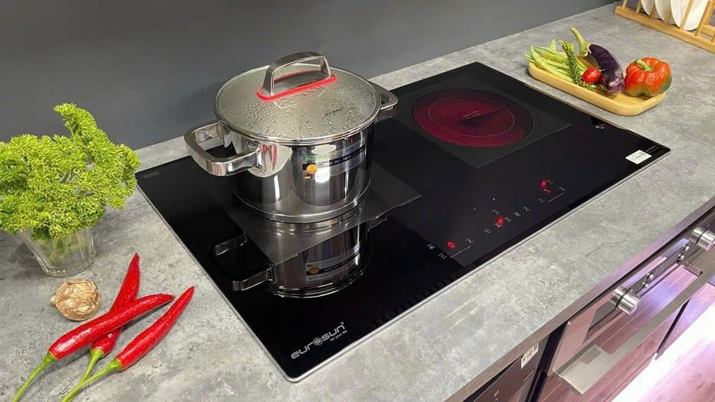 Bếp từ kết hợp điện Eurosun EU - TE259Pro