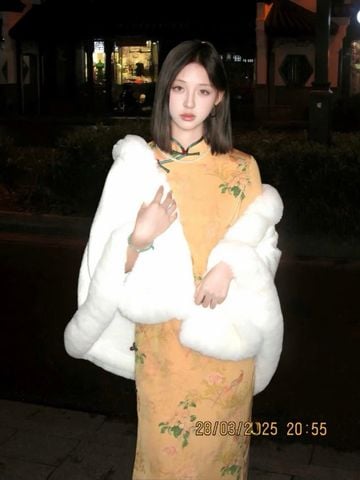  SUỜN XÁM DÀI LỤA VÀNG 