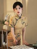  SUỜN XÁM DÀI LỤA VÀNG 