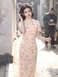  SƯỜN XÁM LỬNG 