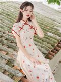  SƯỜN XÁM PHỐI VÁY LỬNG 