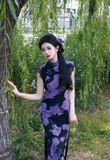  Sườn xám dài Vi Lan 