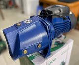  Máy Bơm Nước Đẩy Cao 750W Gordon (Bơm Con Lợn), Máy bơm đầu lợn, Máy bơm lợn 1hp 