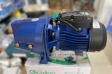  Máy Bơm Nước Đẩy Cao 750W Gordon (Bơm Con Lợn), Máy bơm đầu lợn, Máy bơm lợn 1hp 