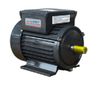  Động Cơ Điện Trường Mạnh 3kw/ 4.0HP/220V 