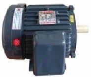  Động Cơ Điện Trường Mạnh 3kw/ 4.0HP/380V 