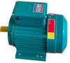  Động Cơ Điện TM 1.1kw/1.5HP 220V, Mô tơ 1100W, Moto Máy Xay Thịt 1.1kw 