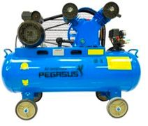  Máy Nén Khí Dây Đai PEGASUS TM-V-0.25/12.5-180L 