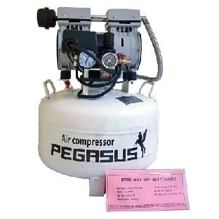  Máy Nén Khí Không Dầu PEGASUS TM-OF750-40L 