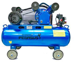  Máy Nén Khí Dây Đai PEGASUS TM-V-0.17/8-120L 