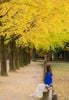 TOUR SEOUL - ĐẢO NAMI NGÀY 22/10 VÀ 29/10