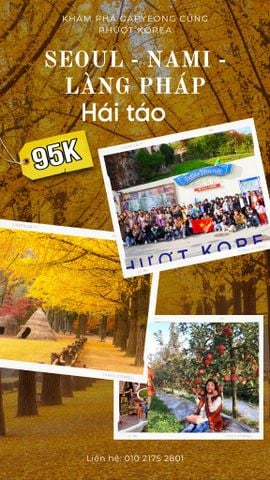 TOUR SEOUL - ĐẢO NAMI NGÀY 22/10 VÀ 29/10