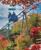 TOUR SEOUL - ĐẢO NAMI NGÀY 22/10 VÀ 29/10