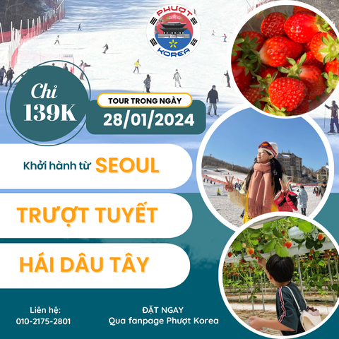 [ TOUR TRƯỢT TUYẾT + HÁI DÂU TÂY ⛷️ CHÀO TẾT NGUYÊN ĐÁN 2024 ]