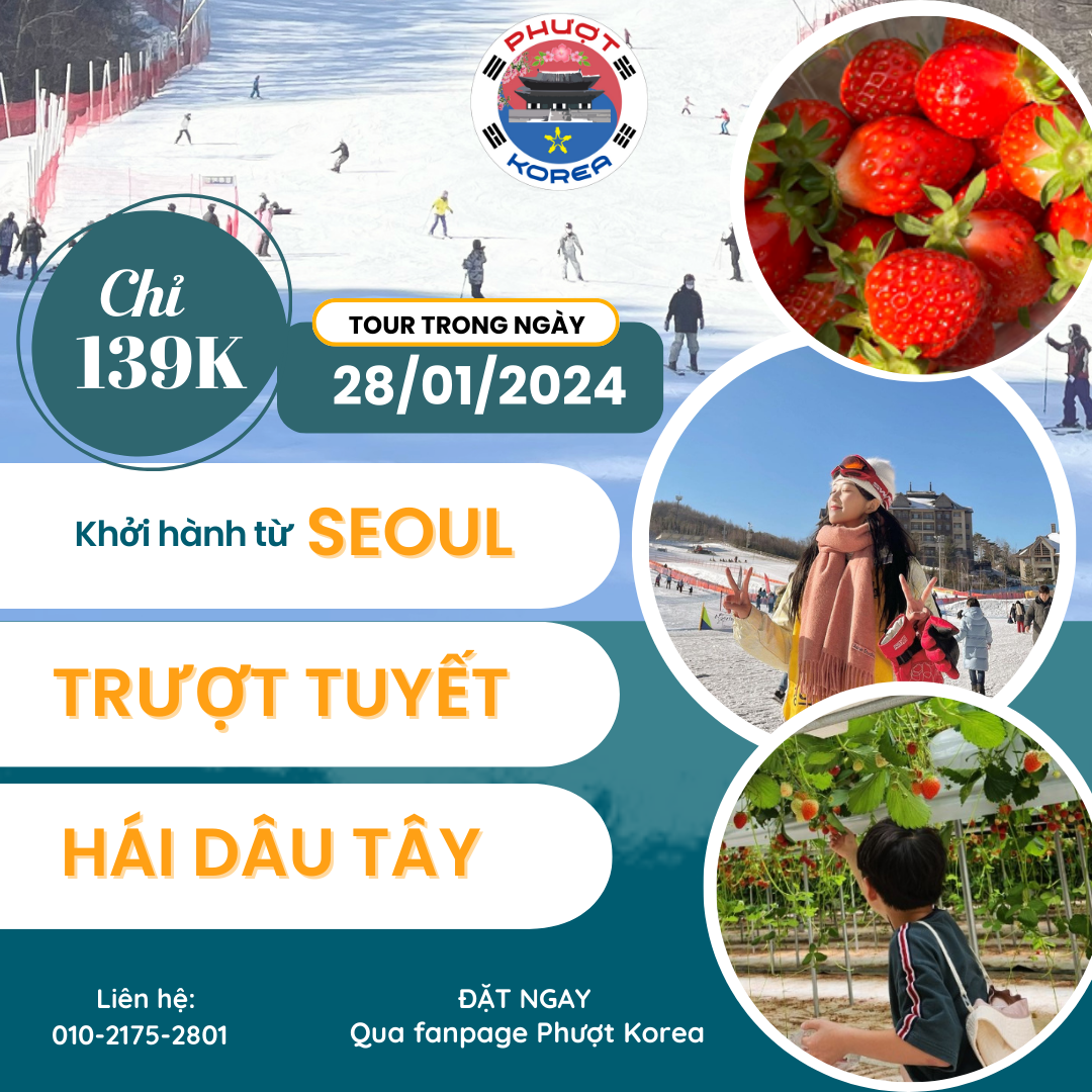 [ TOUR TRƯỢT TUYẾT + HÁI DÂU TÂY ⛷️ CHÀO TẾT NGUYÊN ĐÁN 2024 ]