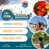 [ TOUR TRƯỢT TUYẾT + HÁI DÂU TÂY ⛷️ CHÀO TẾT NGUYÊN ĐÁN 2024 ]