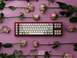  [Instock] DR 70F Keyboard Kit 