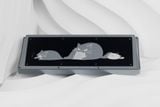  [Instock] CatX( Keyboard Kit 