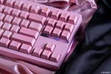  [Extra] HavenTKL Keyboard Kit 