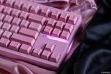  [Extra] HavenTKL Keyboard Kit 