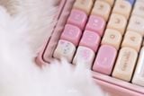  [Pre Order] PC Candy Cat Keycap Set 