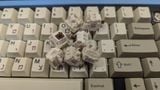  [ Instock] Switch Kailh Snow Cocoa 