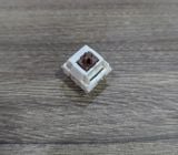  [ Instock] Switch Kailh Snow Cocoa 